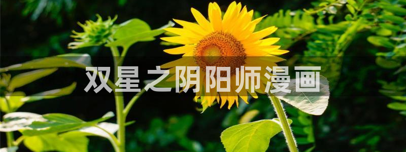 虫虫漫画破解版app下载：双星之阴阳师漫画