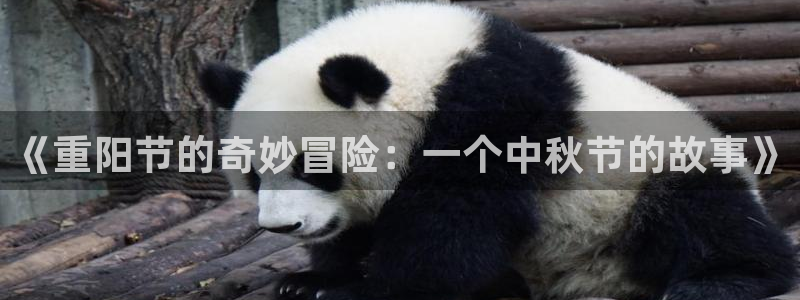 虫虫漫画页面免费漫画在线观看网站