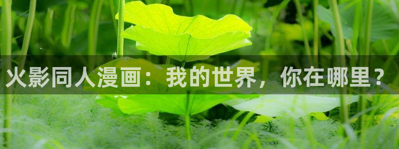 虫虫漫画app下载