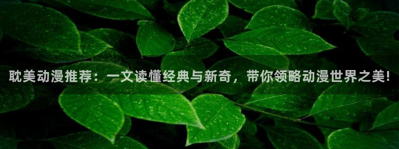 好看的韩国漫画虫虫漫画：耽美动漫推荐：一文读懂经典与新奇，带你领略动漫世界之美!